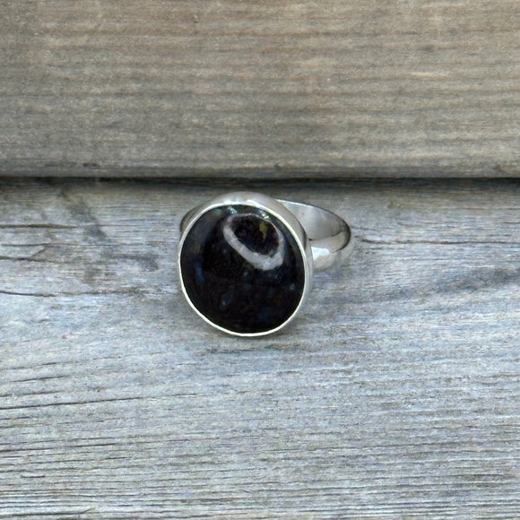 Dino Fossil and Sterling Silver Ring