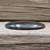 Black and Clear Cell Dino Bone Cabochon