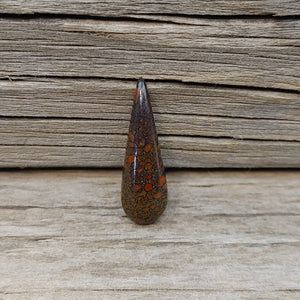 Magical Pear Shaped Dinosaur Bone Cabochon