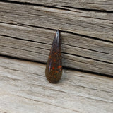 Magical Pear Shaped Dinosaur Bone Cabochon