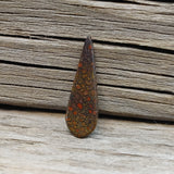 Magical Pear Shaped Dinosaur Bone Cabochon