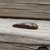 Magical Pear Shaped Dinosaur Bone Cabochon