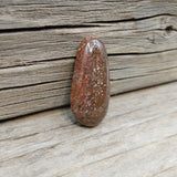 Freeform Pink and Terracotta Red Dino Bone Cabochon