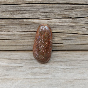 Freeform Pink and Terracotta Red Dino Bone Cabochon