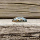 Oval Grey and Red Dino Bone Fossil Cabochon