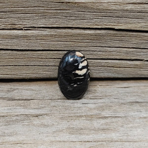 Oval Black and Pink Dino Bone Cabochon