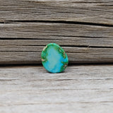 Sonoran Mountain Freeform Turquoise Cabochon